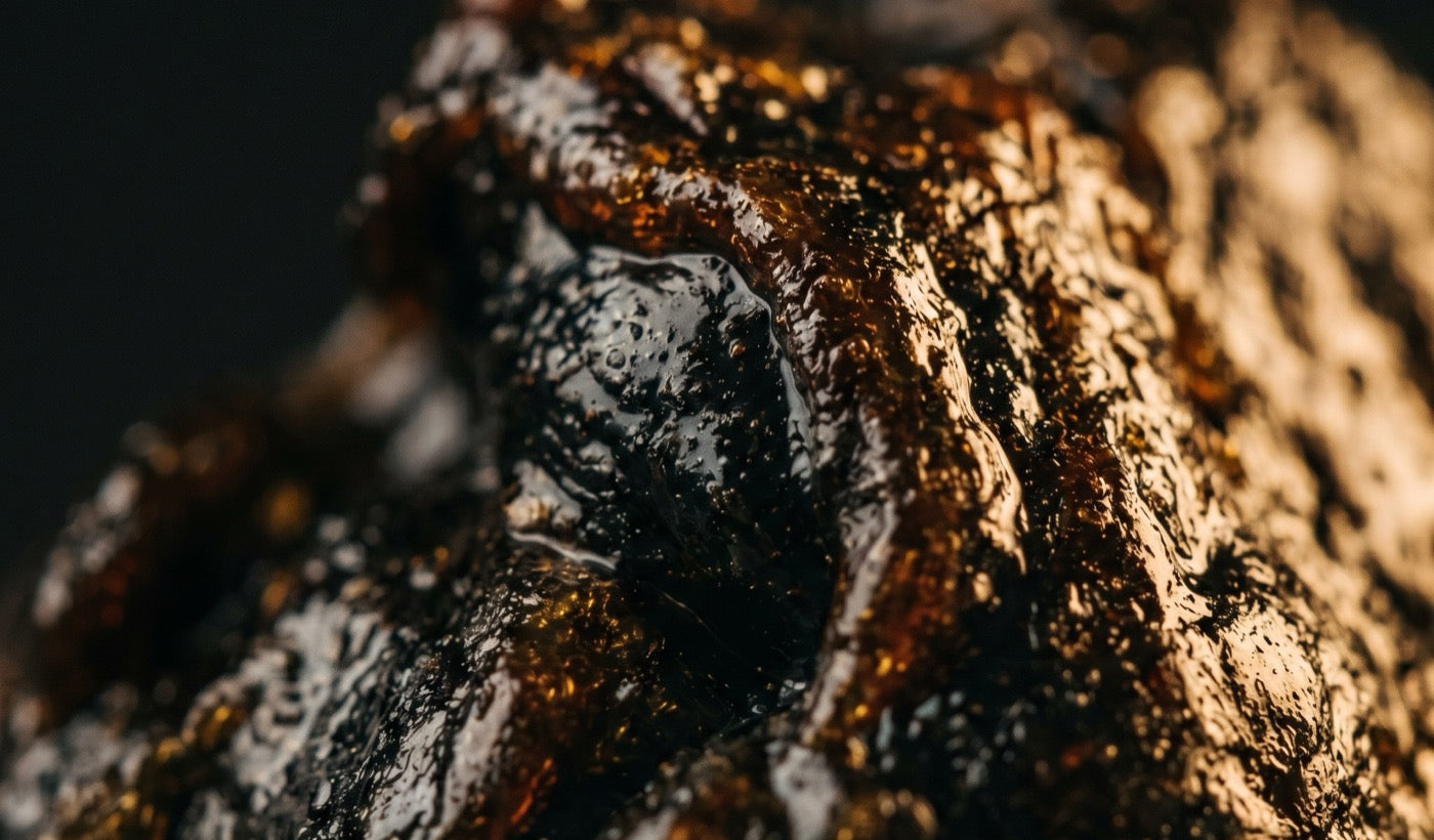 Pure Himalayan Shilajit resin